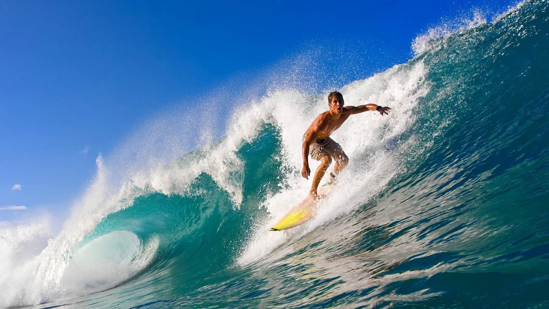 AYX GAME-美洲杯期间的社交媒体传播，美洲杯采访